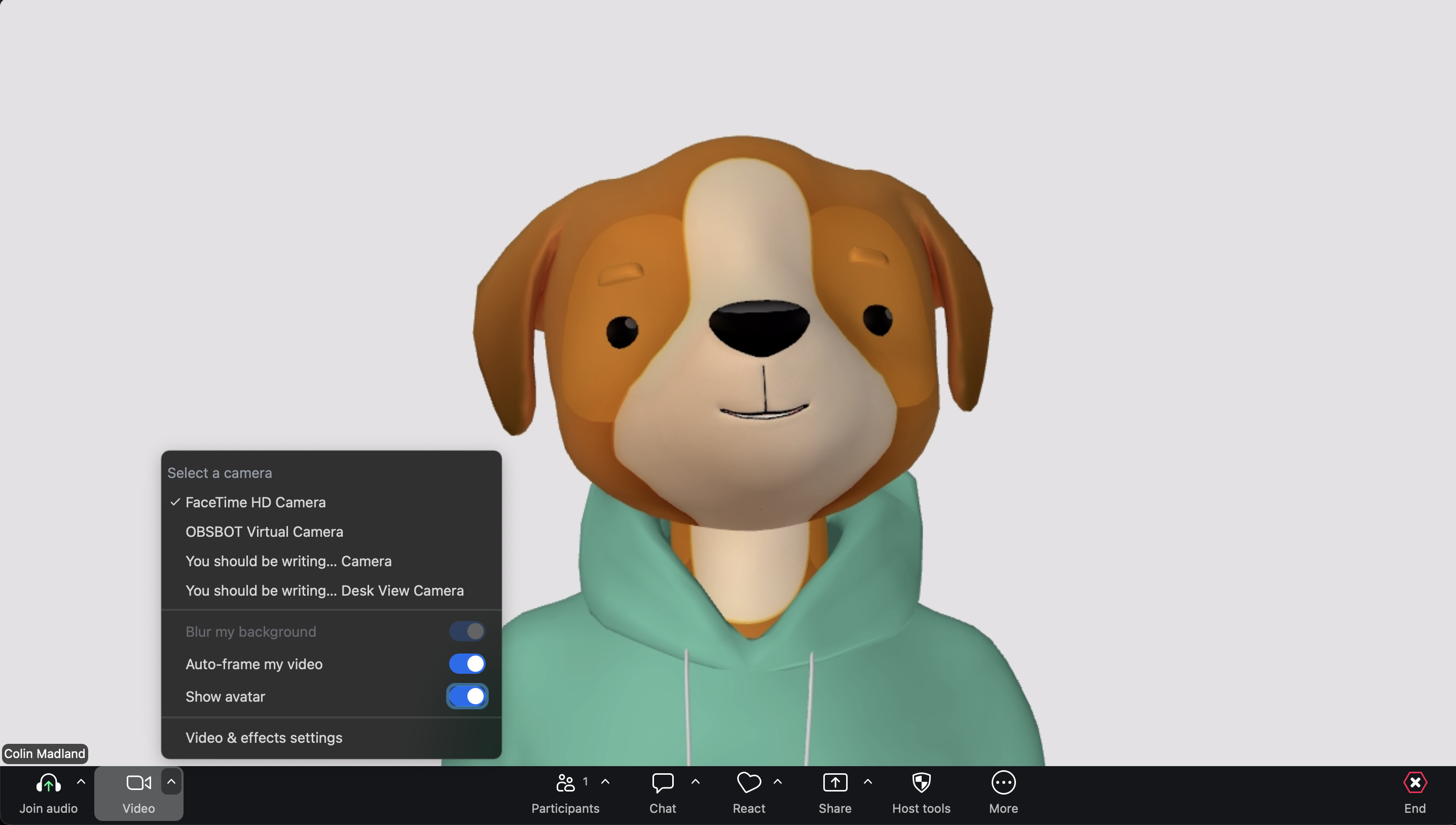 Colin in a Zoom session with his video feed replaced by an avatar of a smiling dog wearing a green sweater.