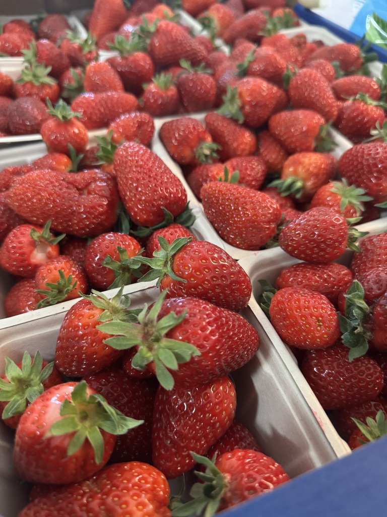 Giant flat of fresh, red, juicy loking strawberries.